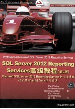 SQL Server 2012 Reporting Services高级教程 第2版