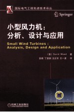 小型风力机  分析、设计与应用