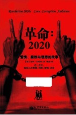 革命 2020 爱情、腐败与理想的故事