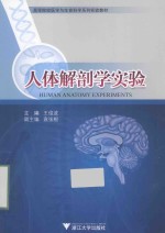 人体解剖学实验