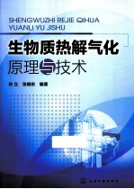 生物质热解气化原理与技术