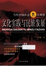 文化实践与民族发展 当代中国社会热点观察