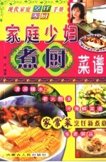 现代家庭烹饪入厨手册 家庭少妇煮厨菜谱