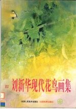 刘新华现代花鸟画集