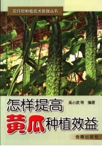 怎样提高黄瓜种植效益