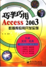 巧学巧用Access 2003数据库应用开发实例