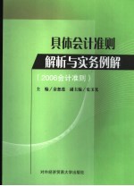 具体会计准则解析与实务例解 2006会计准则