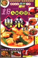 现代家庭烹饪入厨手册  主妇入厨烹饪粤菜宝典