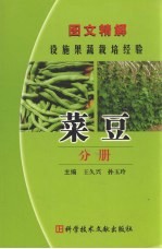 图文精解设施果蔬栽培经验 菜豆分册