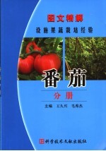 图文精解设施果蔬栽培经验 番茄分册