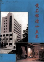 黄石辉煌五十年 1978-1993