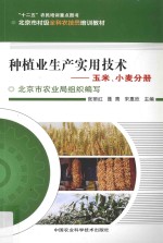 种植业生产实用技术：玉米、小麦分册