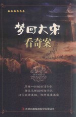 梦回大宋看奇案