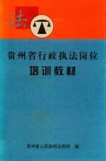 刑事司法手册 诉讼法手册