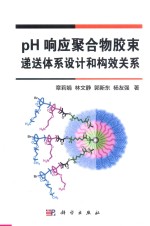 pH响应聚合物胶束递送体系设计和构效关系