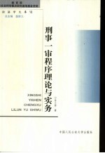 刑事一审程序理论与实务