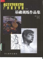 南京艺术学院美术学院广州美术学院学生基础训练作品集