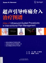 超声引导疼痛介入治疗图谱
