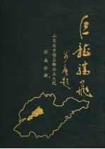 山东省乡镇区街企业大观 济南分册