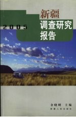 新疆调查研究报告 2005