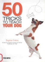 50 tricks to teach your dogamaze your friends!impress your family!challenge your dog!