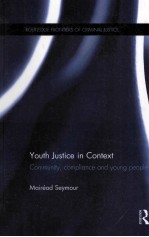 youth justice in contextcommunity