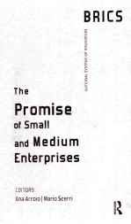 the promise of small and medium enterprises