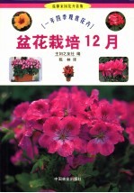 盆花栽培12月 一年四季观赏花卉