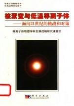 核聚变与低温等离子体 面向21世纪的挑战和对策