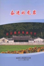 奋进的龙岩 2012年