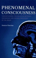 PHENOMENAL CONSCIOUSNESS UNDERSTANDING THE RELATION BETWEEN EXPERIENCE AND NEURAL PROCESSES IN THE