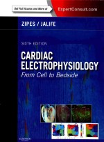 CARDIAC ELECTROPHYSIOLOGY FROM CELL TO BEDSIDE SIXTH EDITION