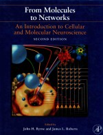 FROM MOLECULES TO NETWORKS AN INTRODUCTION TO CELLULAR AND MOLECULAR NEUROSCIENCE SECOND EDITION