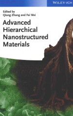 ADVANCED HIERARCHICAL NANOSTRUCTURED MATERIALS