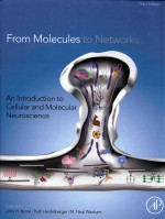 FROM MOLECULES TO NETWORKS AN INTRODUCTION TO CELLULAR AND MOLECULAR NEUROSCIENCE THIRD EDITION