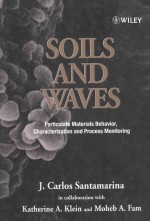 Soils and Waves