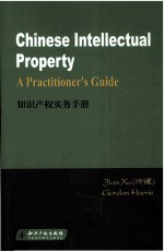 知识产权实务手册=Chinese Intellectual Property A Practitioner's Guide