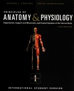 PRINCIPLES OF ANATOMY & PHYSIOLOGY VOLUME 1 13THE EDITION