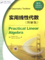 PRACTICAL LINEAR ALGEBRA