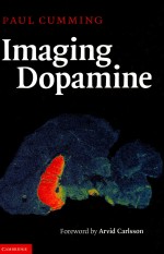 Imaging Dopamine