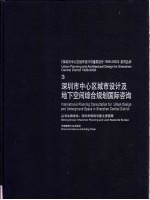 深圳市中心区城市设计及地下空间综合规划国际咨询