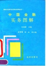 中国金融实务图解