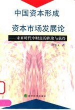 中国资本形成与资本市场发展论 未来时代中财富的积聚与获得