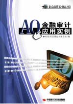 AO金融审计应用实例