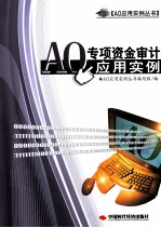 AO专项资金审计应用实例