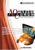 AO行政事业审计应用实例