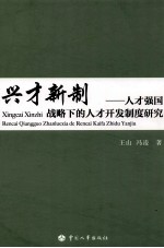 兴才新制 人才强国战略下的人才开发制度研究