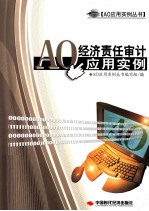 AO经济责任审计应用实例