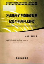 冲击地压矿井微地震监测试验与治理技术研究