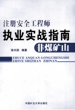 注册安全工程师执业实战指南 非煤矿山